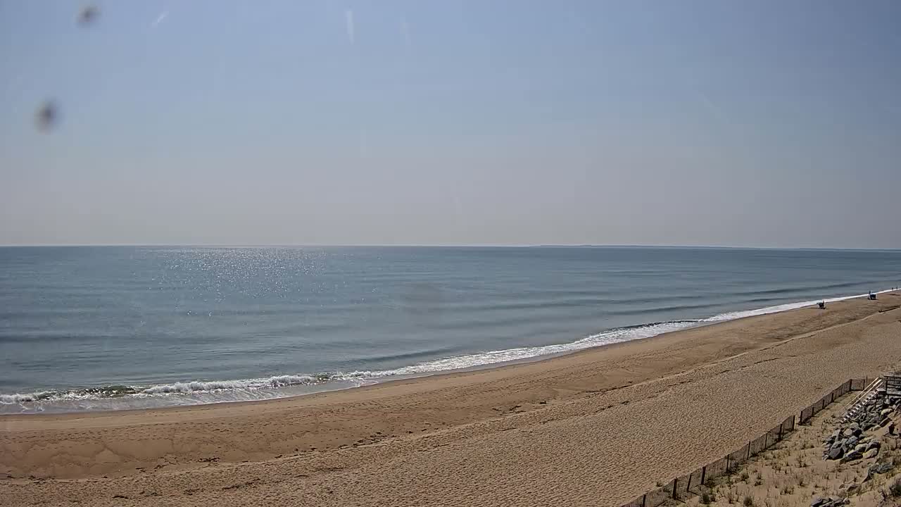 A sandy beach slopes gently down to a calm, light-blue ocean under a clear, bright sky.