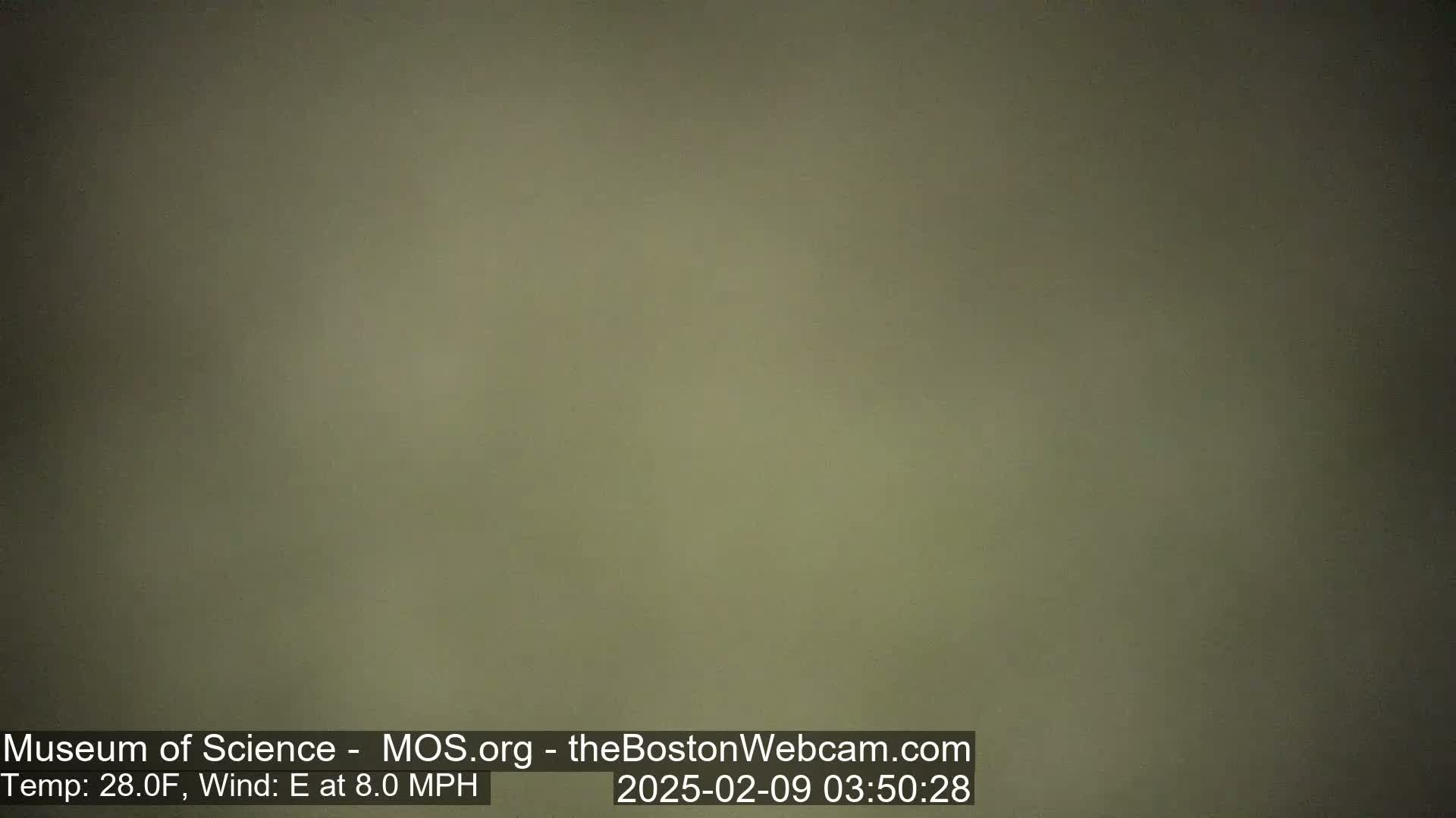 A uniformly olive-green image shows an overcast sky with an east wind at 8.0 mph and a temperature of 28 degrees Fahrenheit.