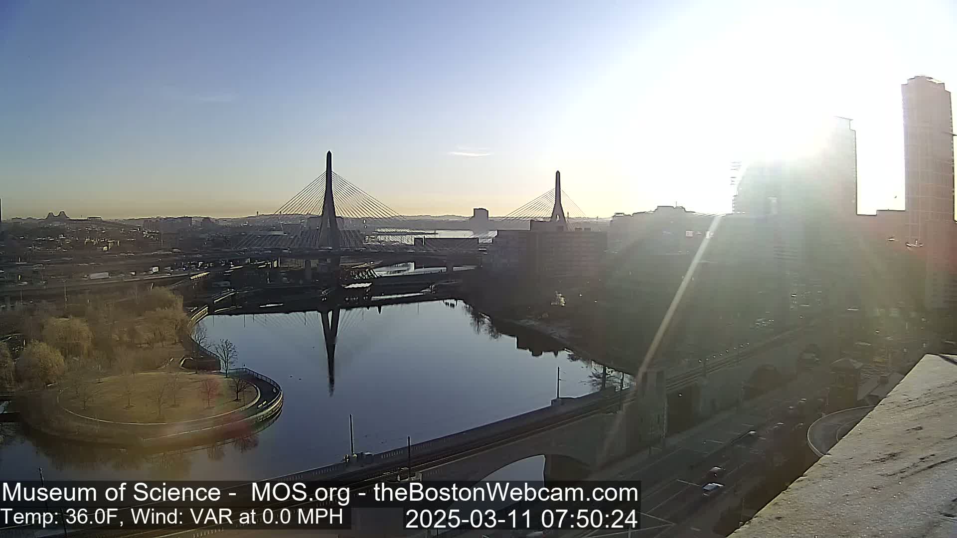 A sunrise view shows two cable-stayed bridges over a calm river, with a city skyline and park in the background.