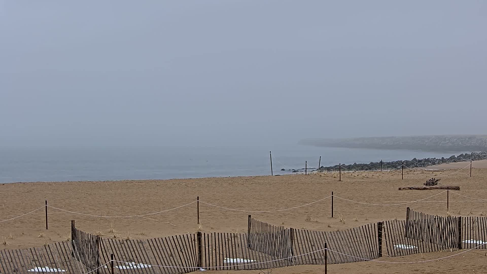 A sandy beach with a low wooden fence stretches to a foggy ocean meeting a rocky shoreline.