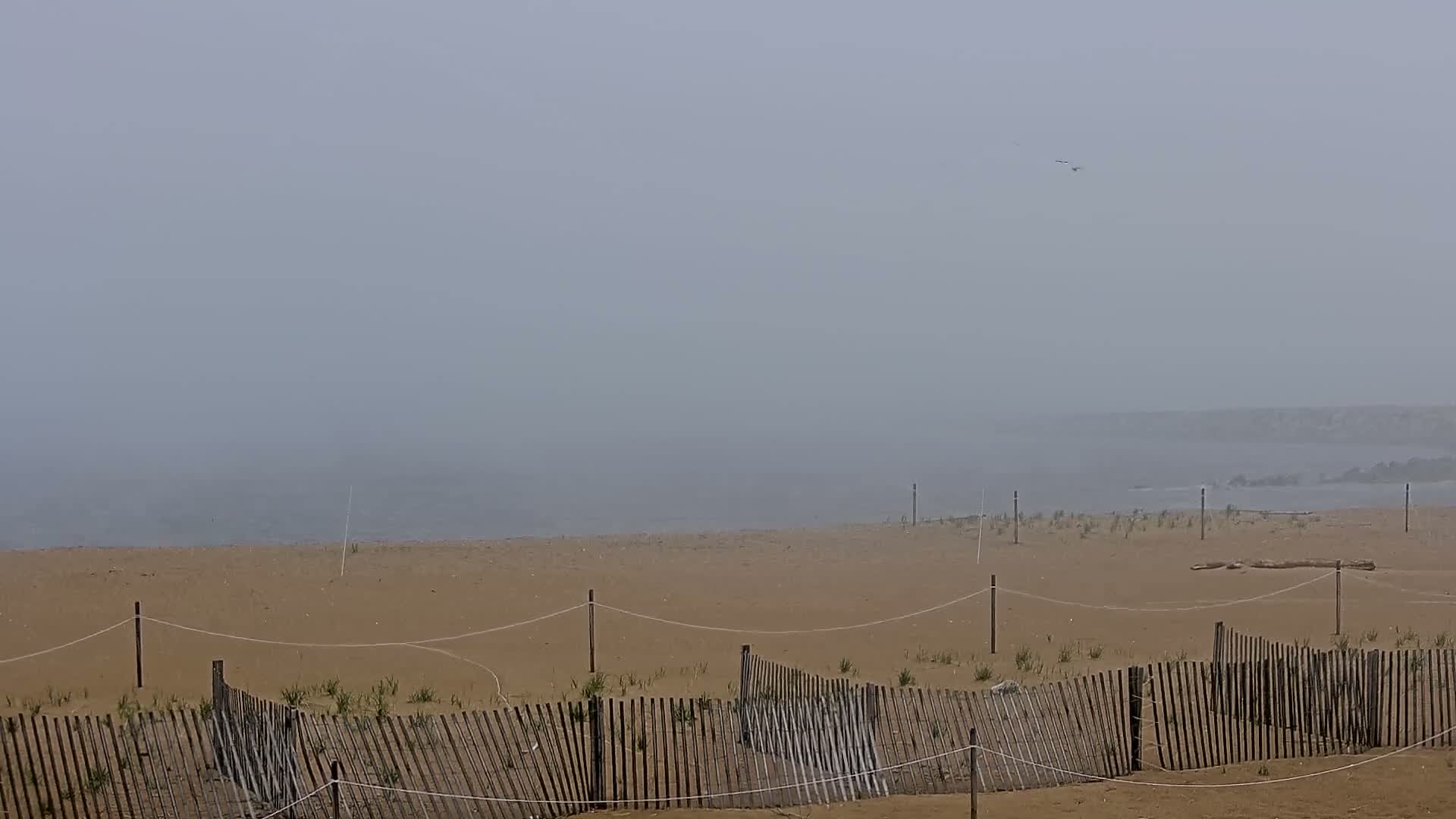 A foggy beach scene shows a sandy expanse with a low wooden fence and a calm, gray sea in the background.