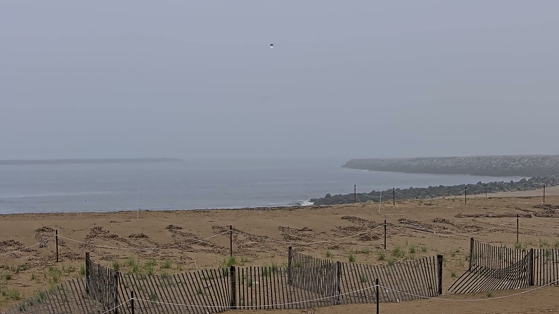 A foggy beach scene shows a sandy shore with small wooden fences sectioning off areas of sparse vegetation, overlooking a calm ocean and a rocky jetty.