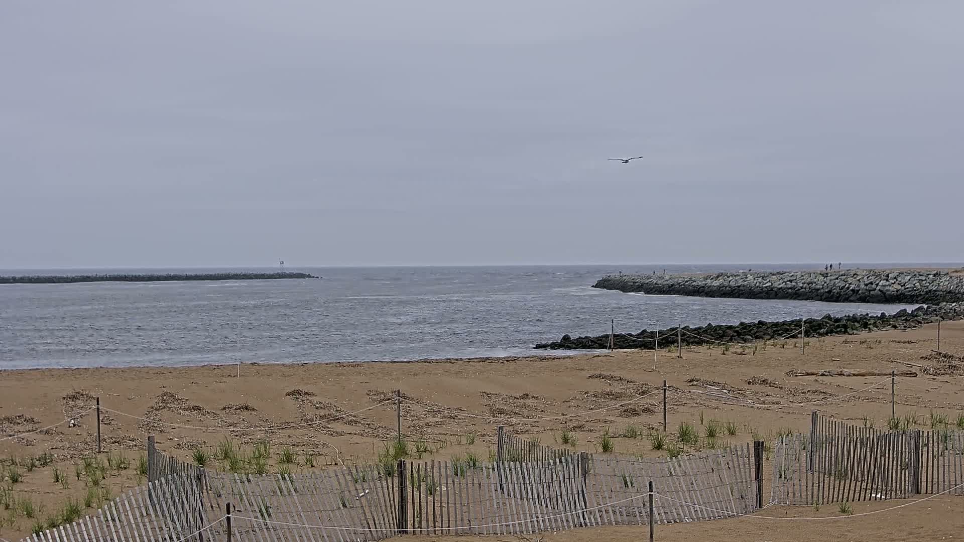 Newburyport, Mouth of the Merrimack River Live Cam - Newburyport, Essex, Massachusetts, USA