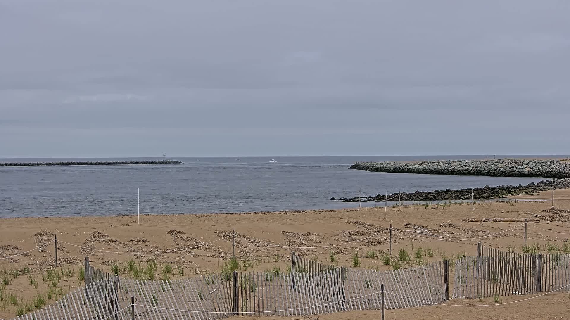 A sandy beach with young vegetation protected by wooden fences is shown, overlooking a calm body of water under an overcast sky, with rock jetties visible in the distance.