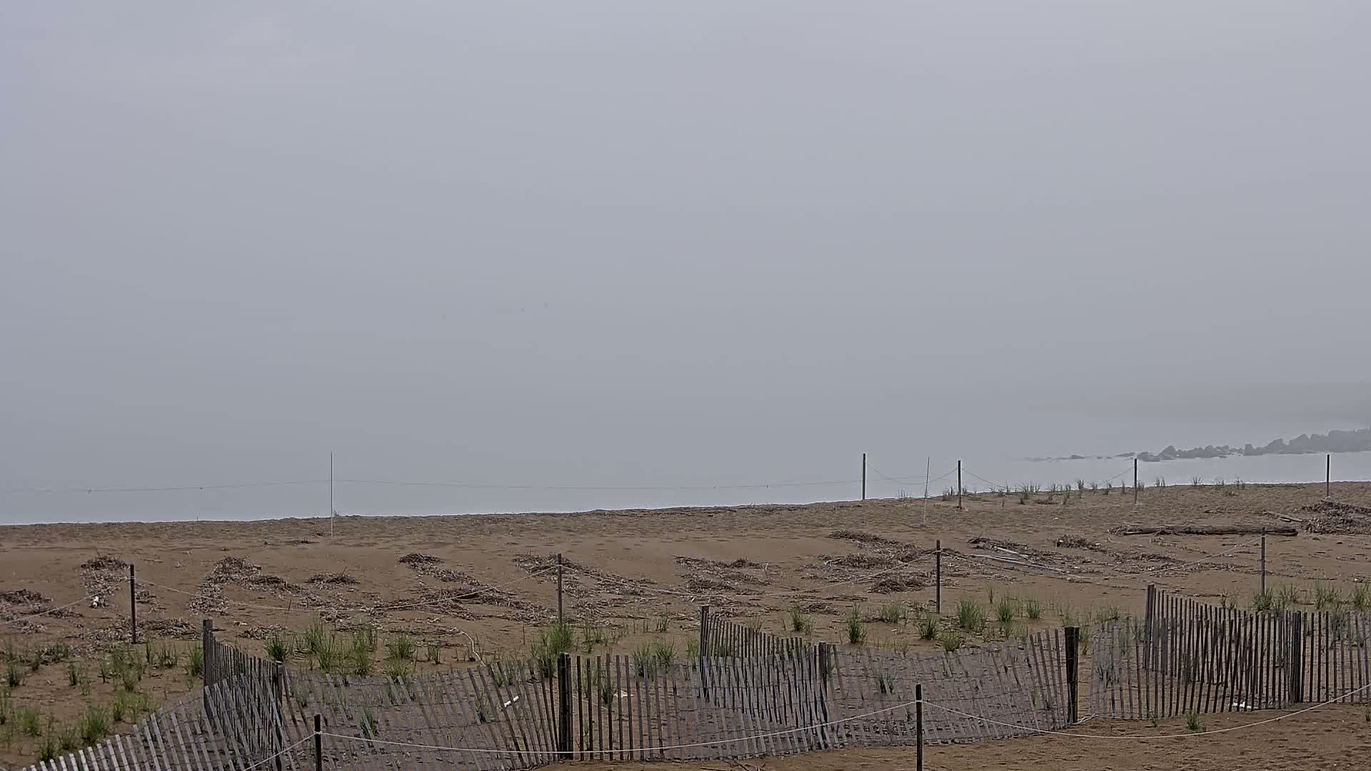 A foggy beach scene shows a sandy shoreline with small fences protecting sparse vegetation, and a calm, hazy body of water in the background.