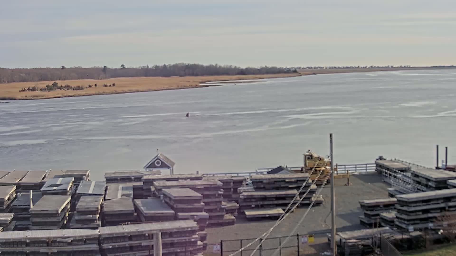 A partly icy body of water stretches out to a distant treeline under a cloudy sky, with a dock holding stacks of what appear to be floating docks and a small yellow piece of machinery.