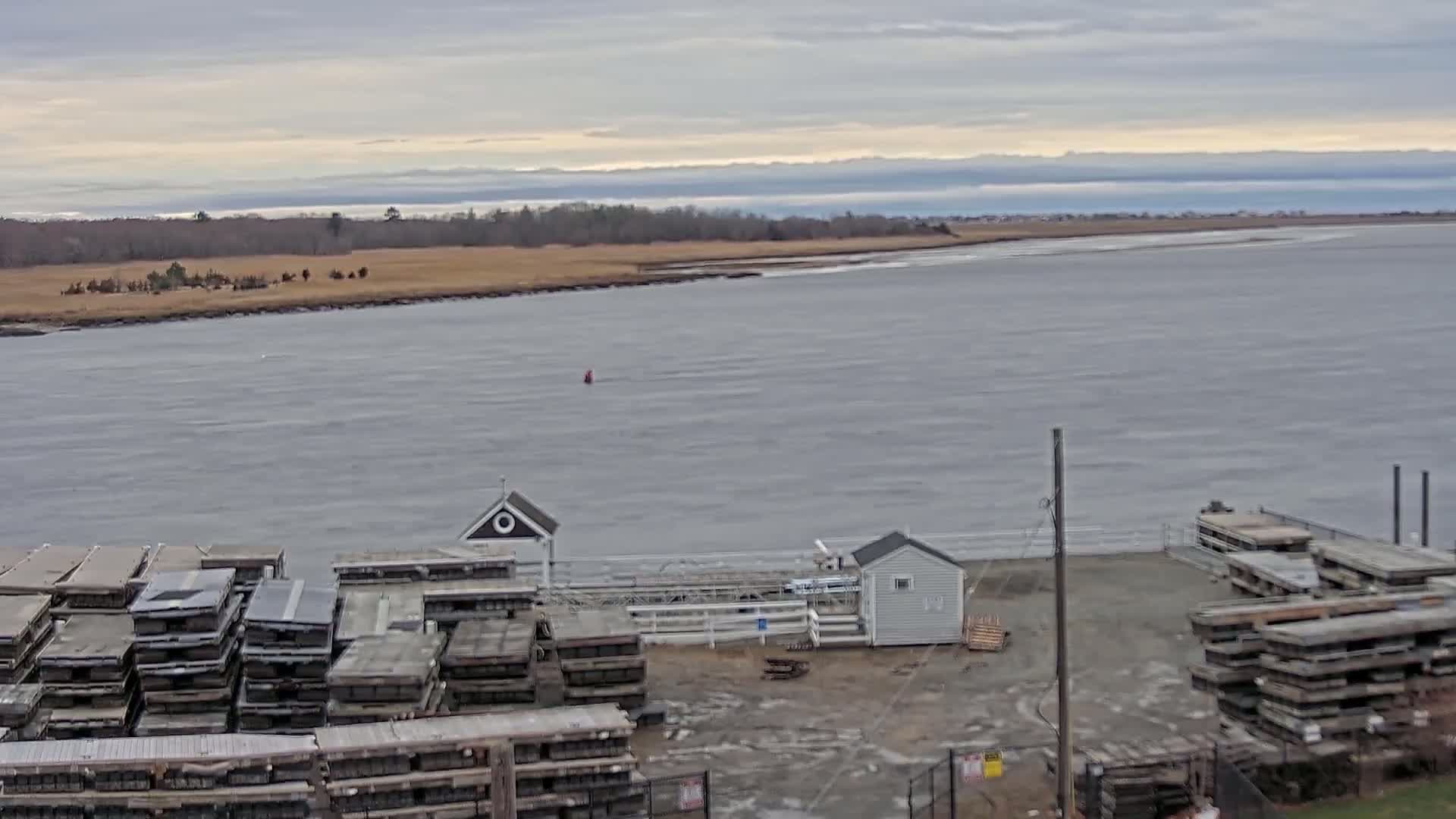A calm, overcast day reveals a wide body of water with a shoreline of brown grasses and distant trees, alongside a dock with stacked materials and small structures.
