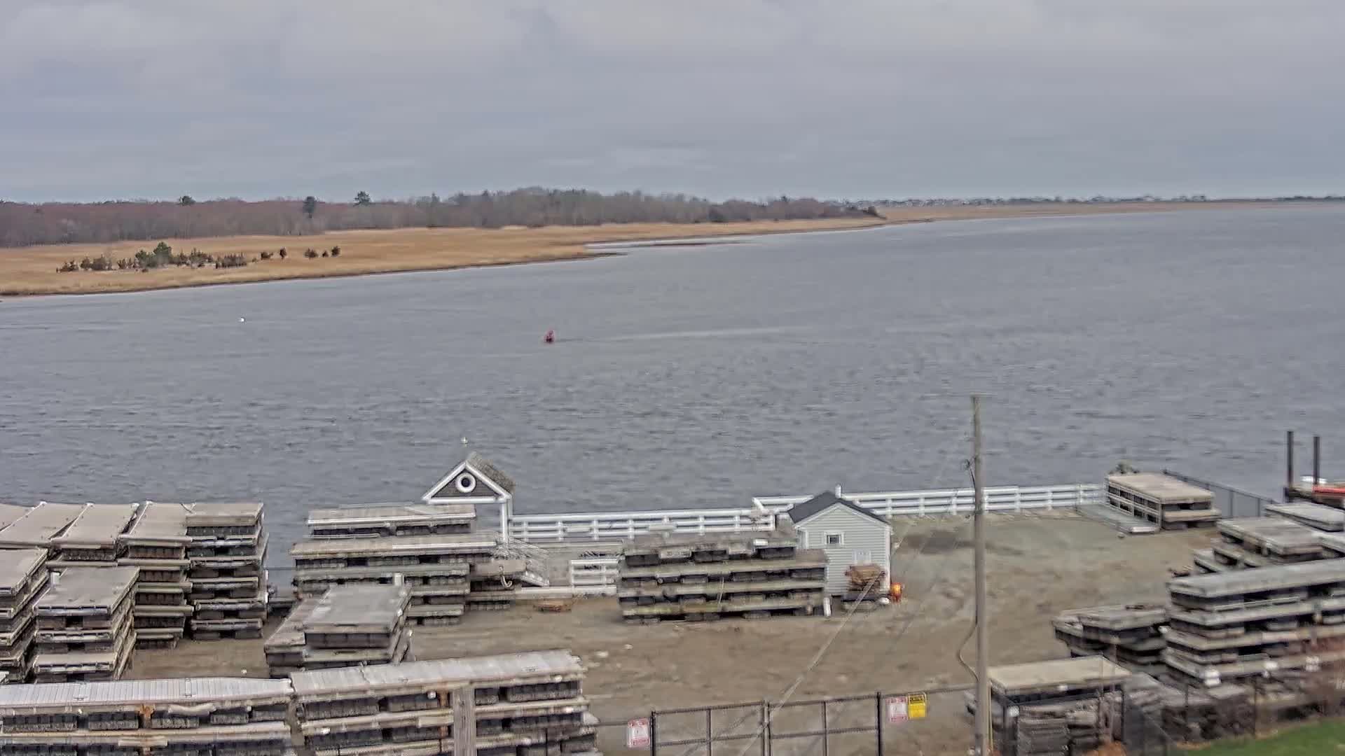 A calm, gray day reveals a body of water with a shoreline of brown marsh grasses and distant trees, alongside a dock area stacked high with numerous gray floating platforms and two small buildings.