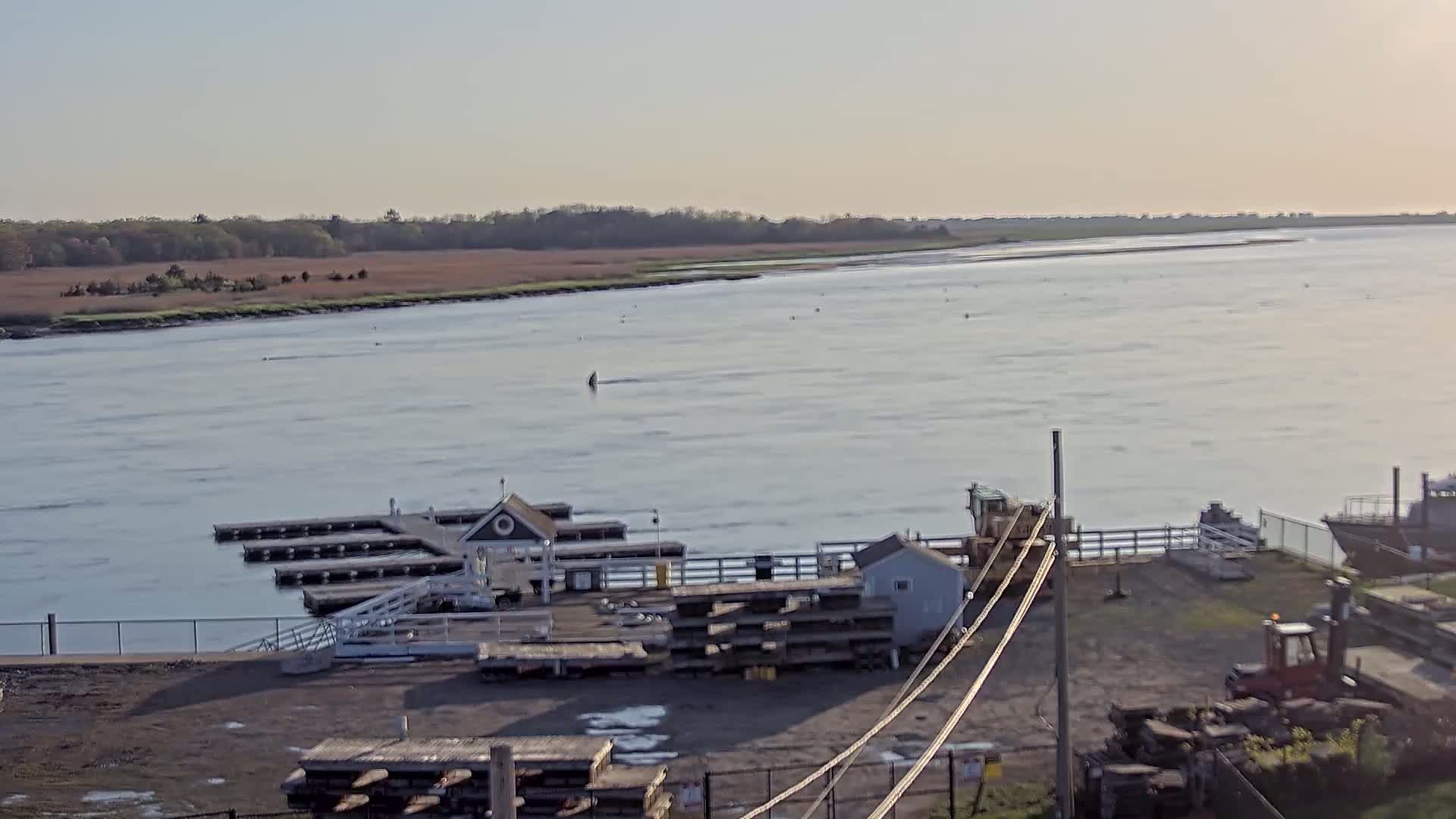 A calm, light-colored river with a small dock and several boats is seen from an elevated view on a clear, sunny day.