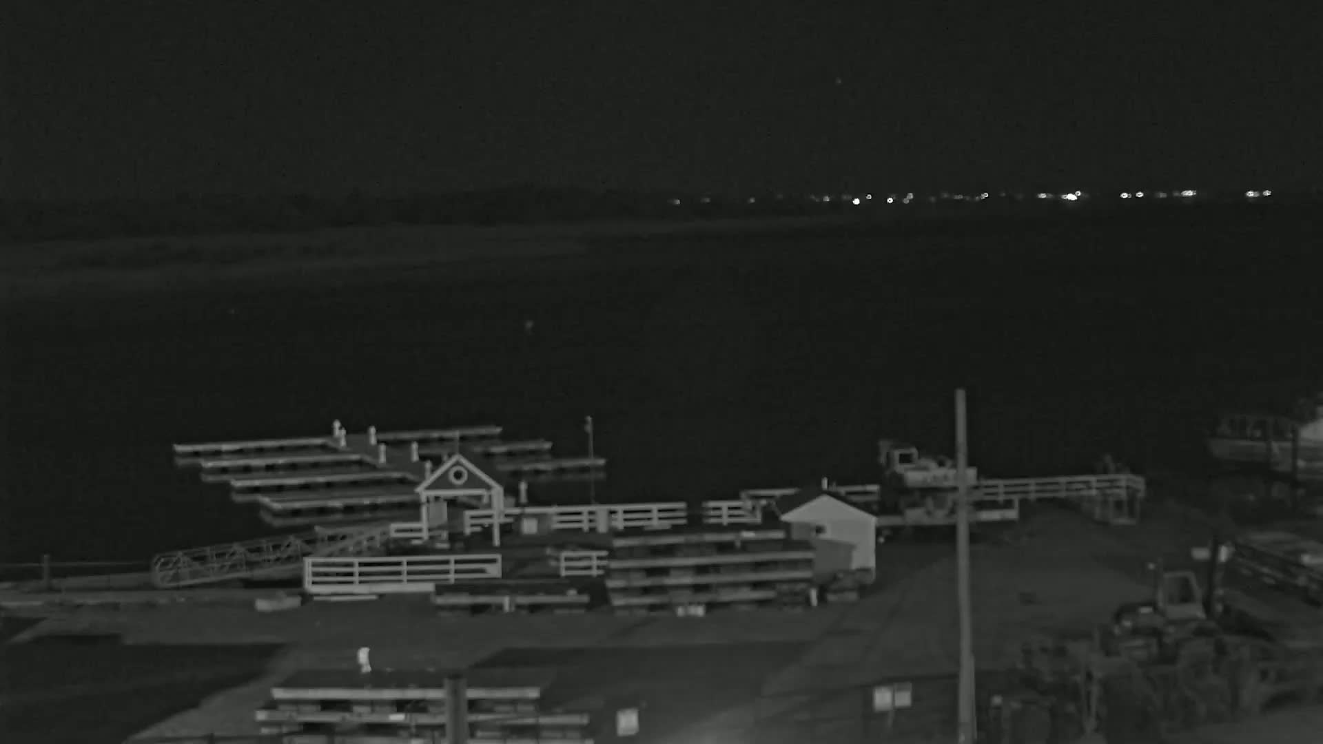 A nighttime, low-light image shows a marina with several docks and small buildings, next to a dark body of water under a clear sky with distant lights visible on the horizon.