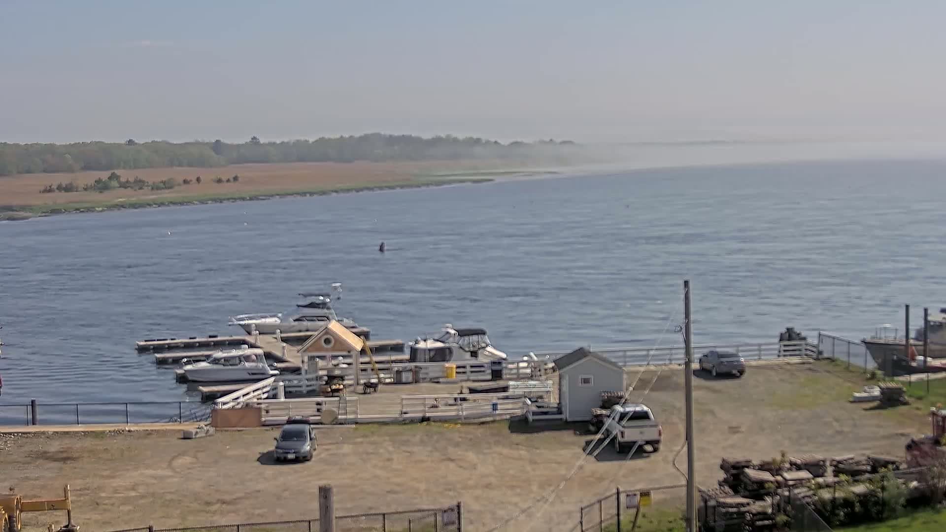A hazy, sunny day overlooks a small boat marina with several vessels docked, a few cars in a parking lot, and a calm body of water extending to a distant shoreline.