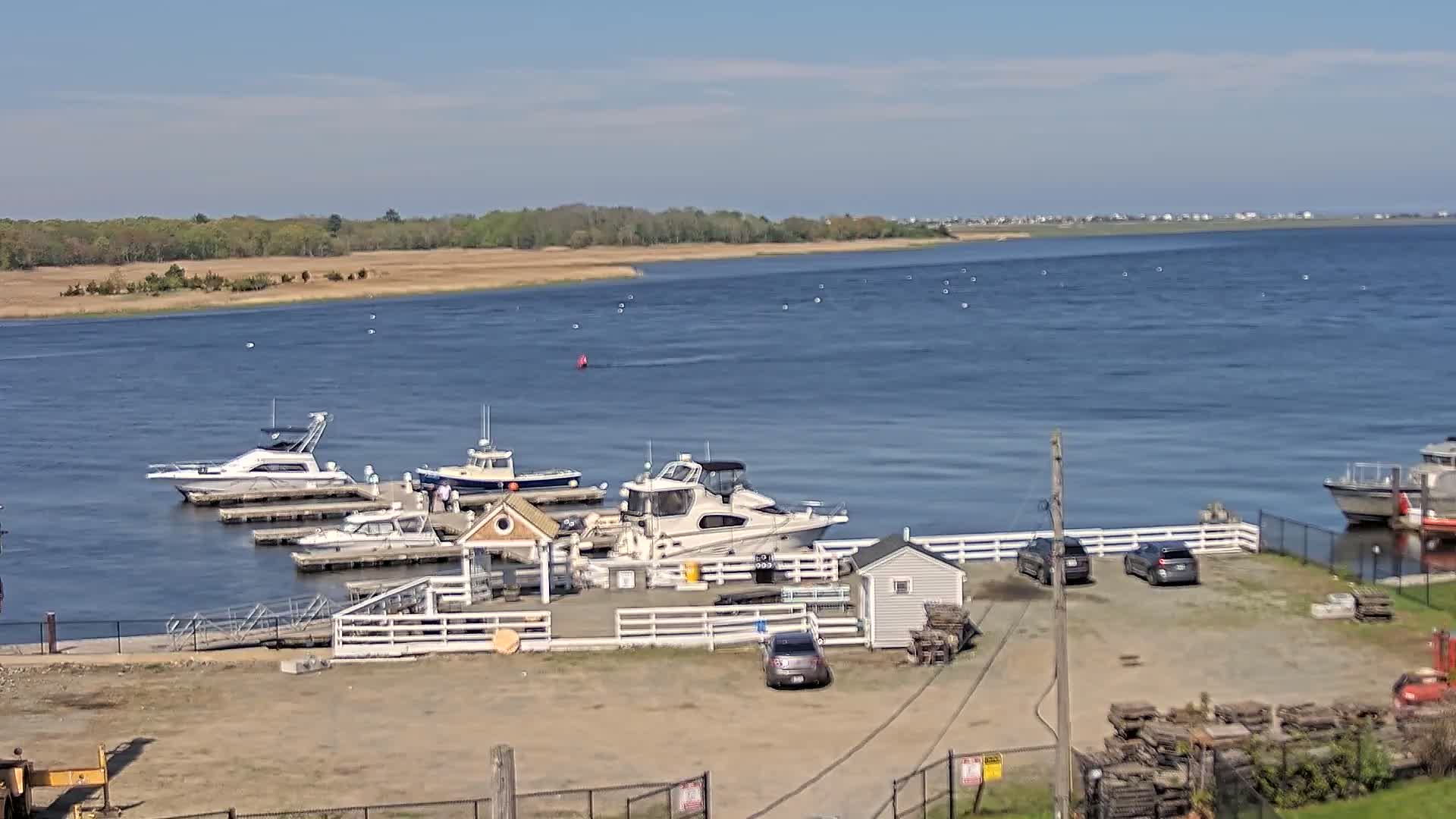 Several boats are docked at a marina on a calm, sunny day, with cars parked nearby and a view of a body of water extending to a distant shoreline.