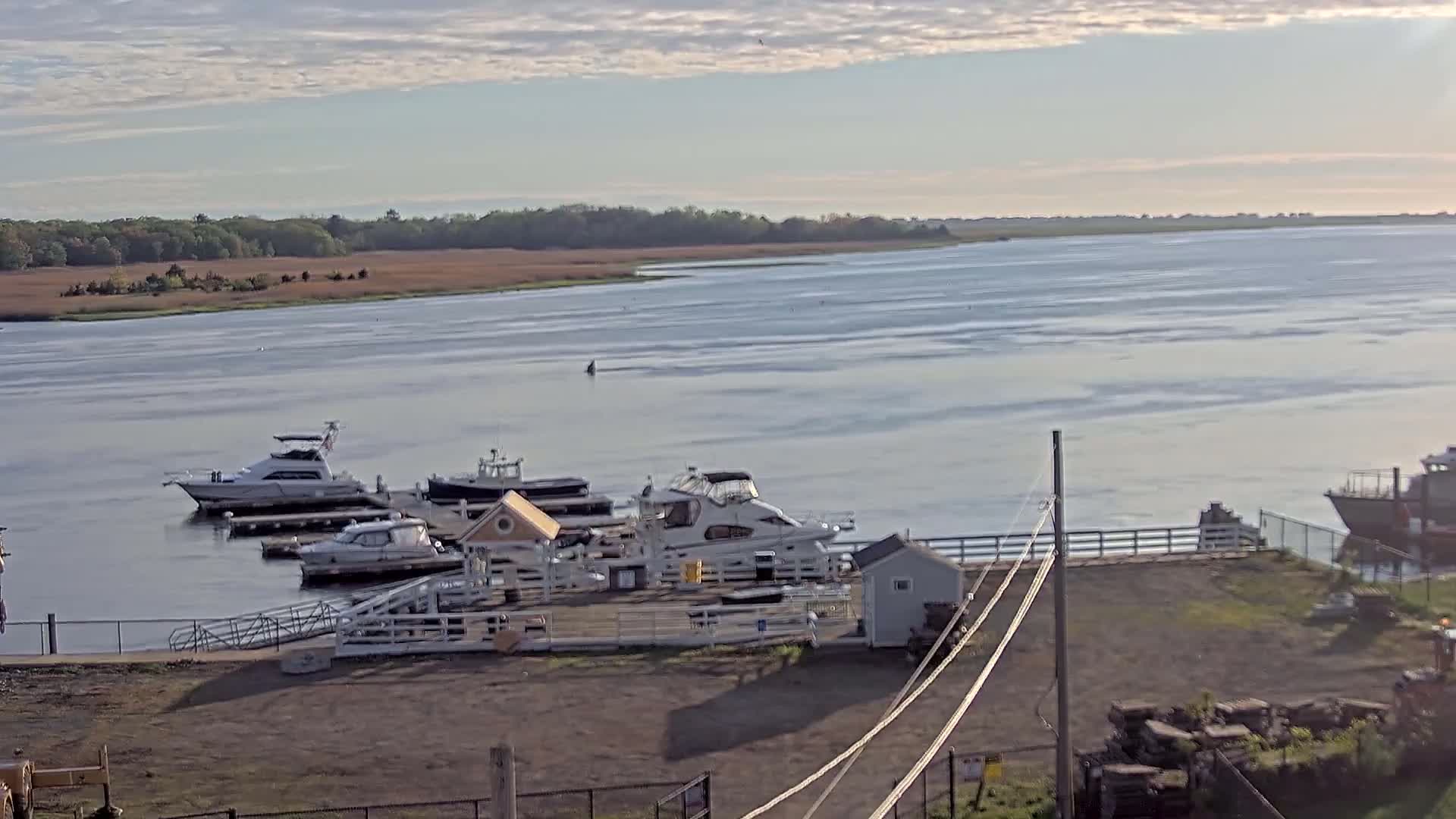Several motorboats are docked at a marina on a calm, partly cloudy day, with a wide body of water and marshland visible in the background.
