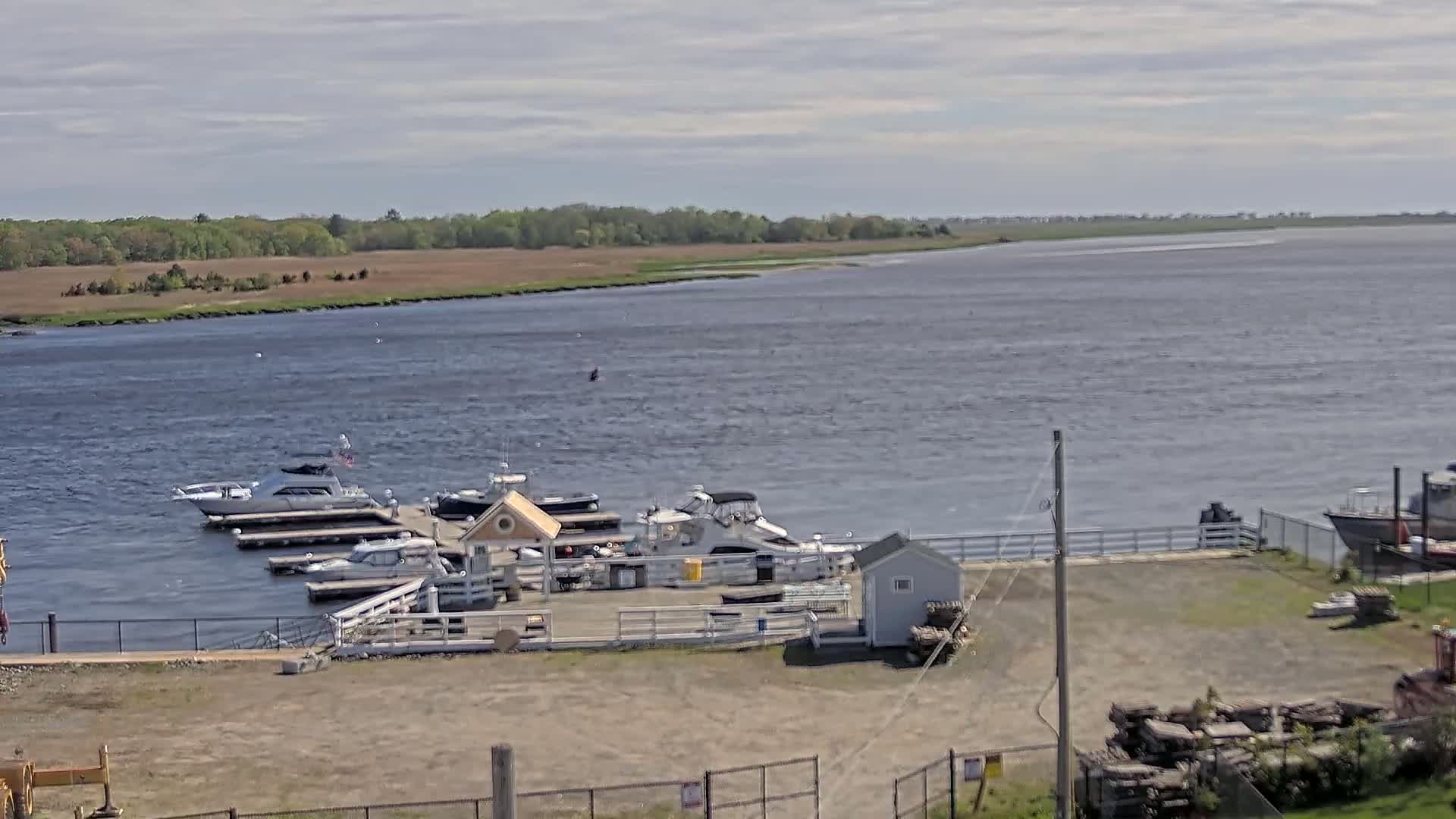 Several boats are docked at a marina on a calm, overcast day, with a wide body of water and marshland visible in the background.