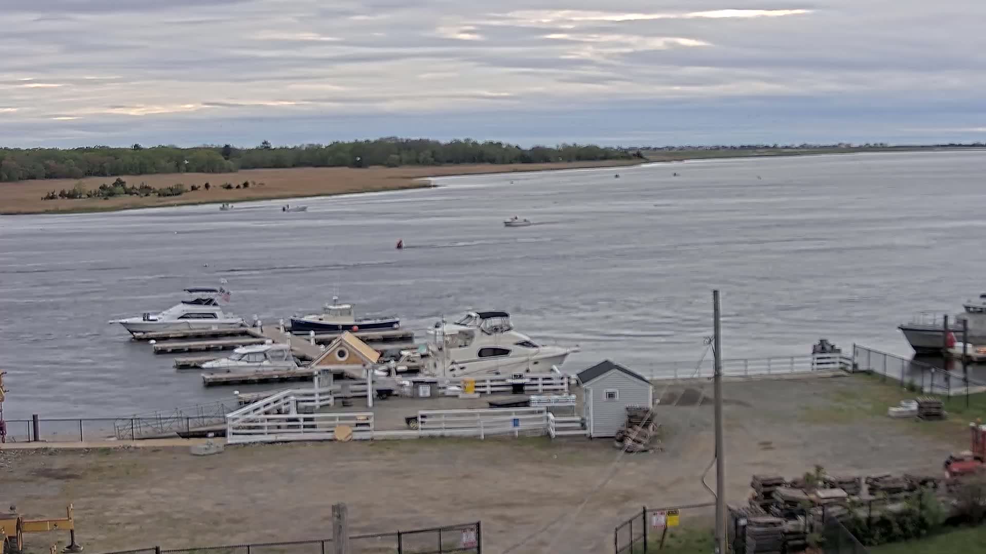 Several boats are docked at a marina on a calm, overcast day, with other boats visible on the water beyond.
