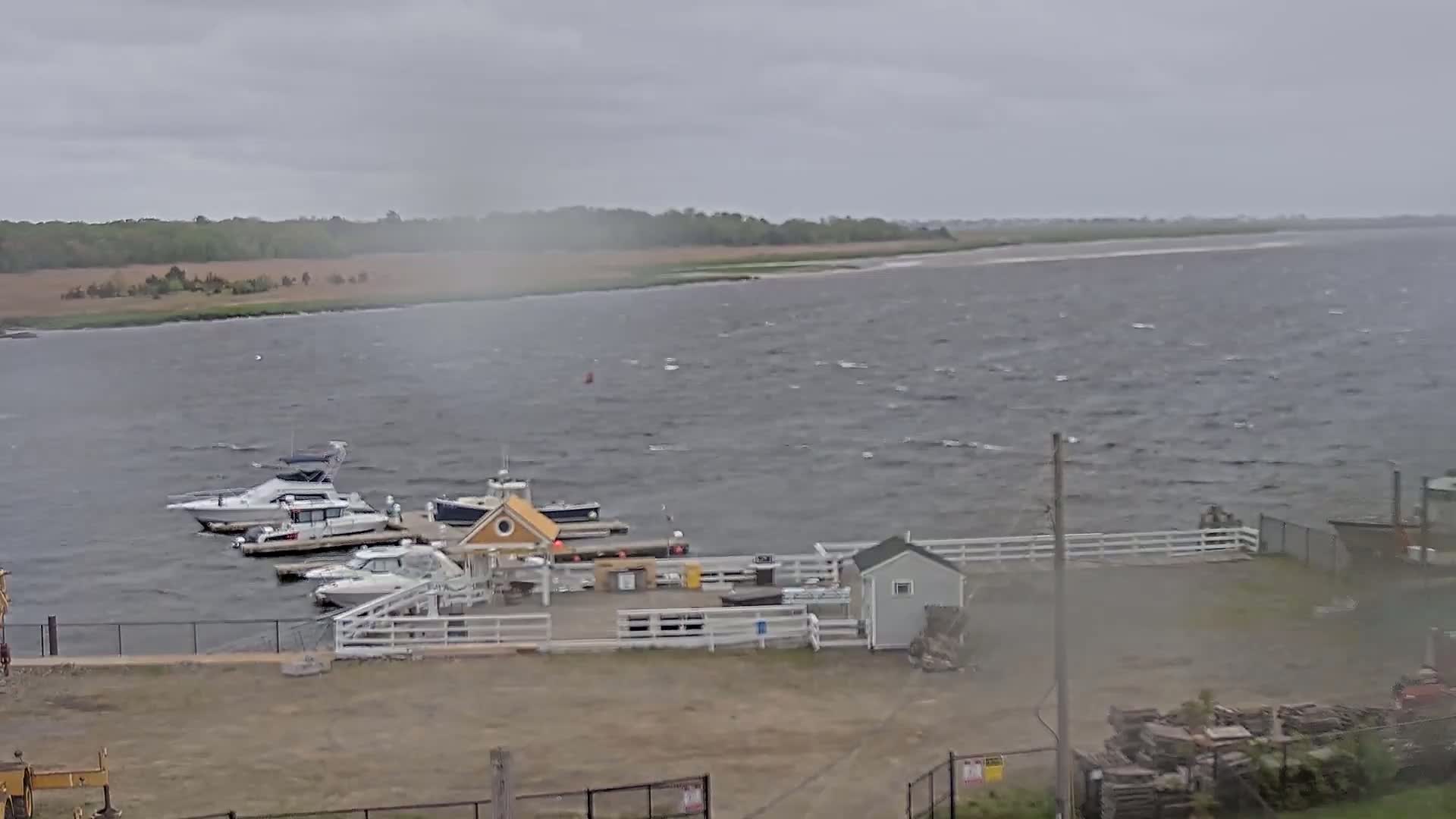 Several boats are docked at a small marina on a windy, overcast day.