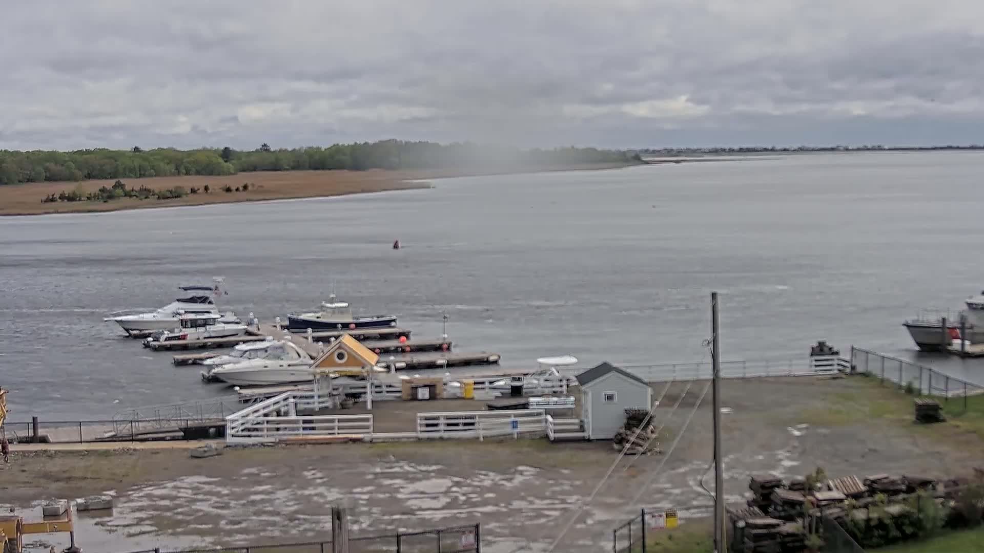 Several boats are moored at a marina on a body of water under an overcast sky.