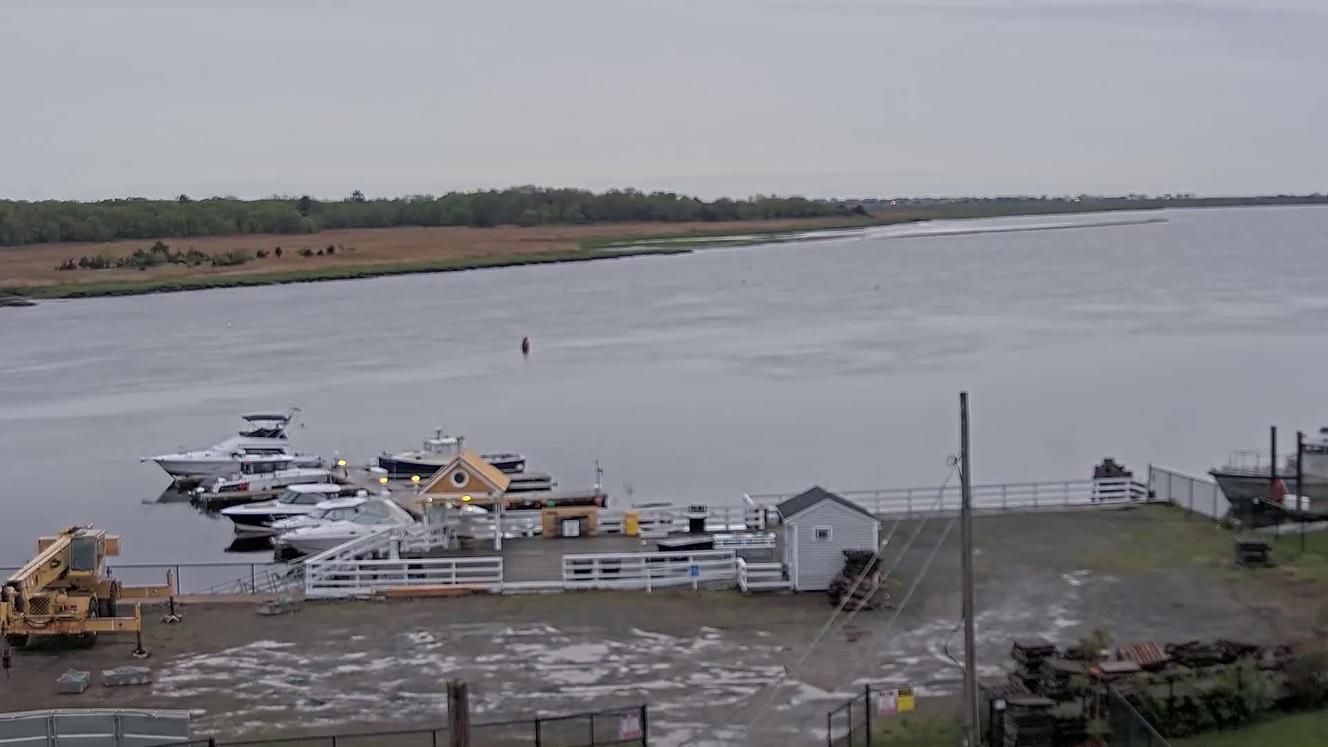 Several boats are docked at a marina on a calm, overcast day, with a grassy shoreline and trees visible in the distance.