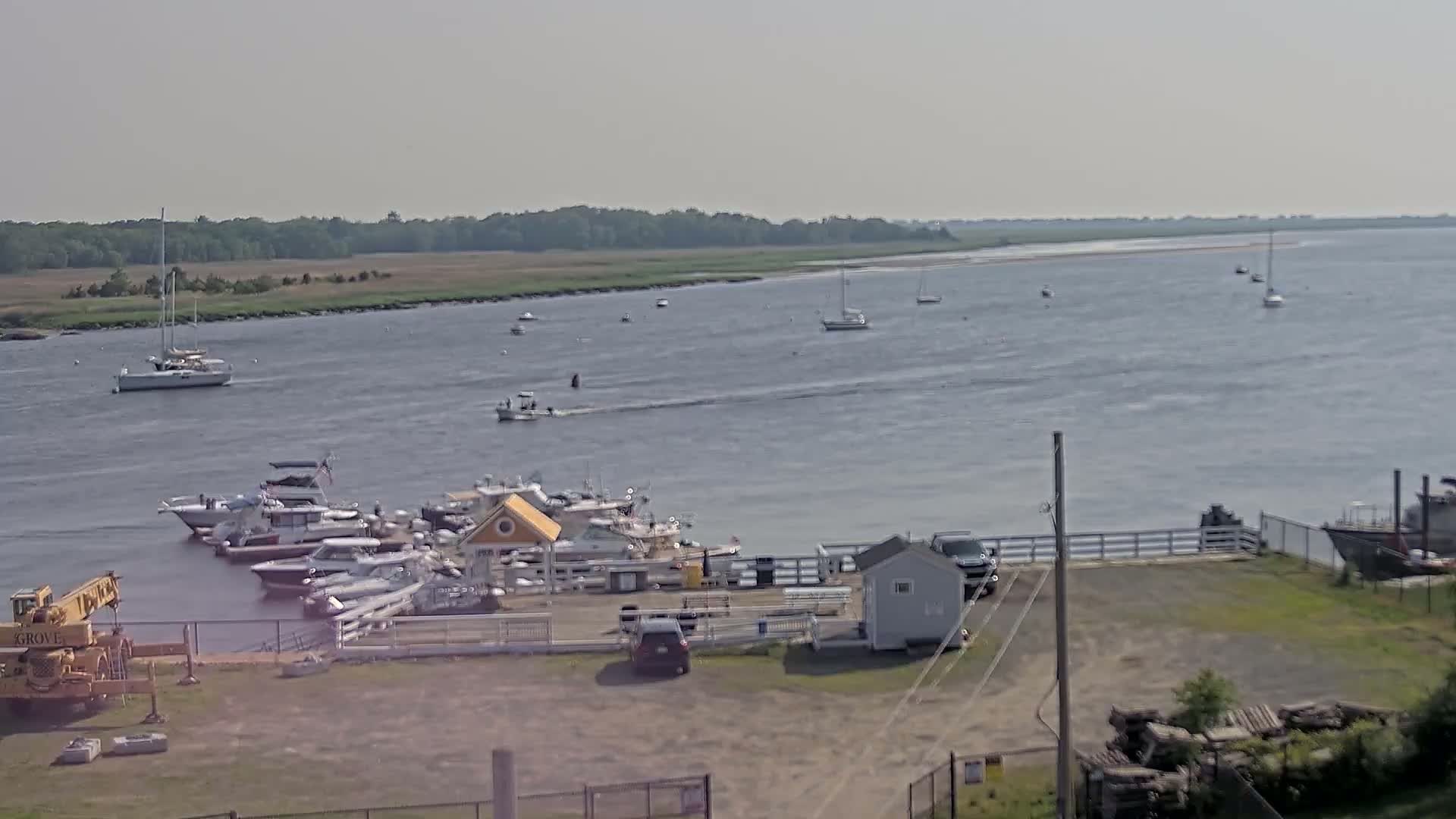 A calm, hazy day reveals a marina with several boats docked, a few more sailing on the water, and a shoreline with green vegetation in the background.