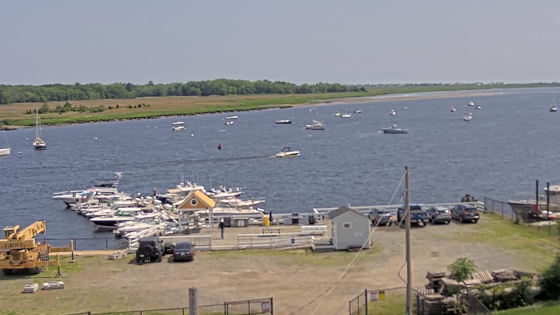 A marina with numerous boats docked and others on the water, under sunny skies, is situated near a shoreline with lush green vegetation.