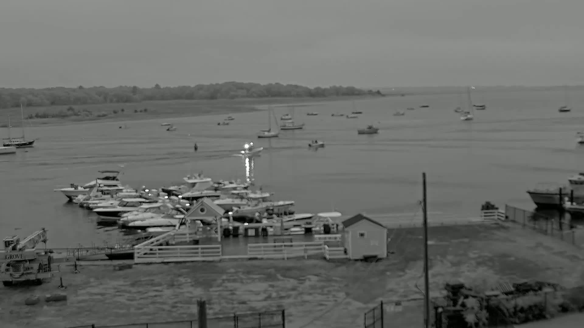A calm, overcast day shows numerous boats moored at a dock and others scattered across a body of water, with a treeline visible in the distance.