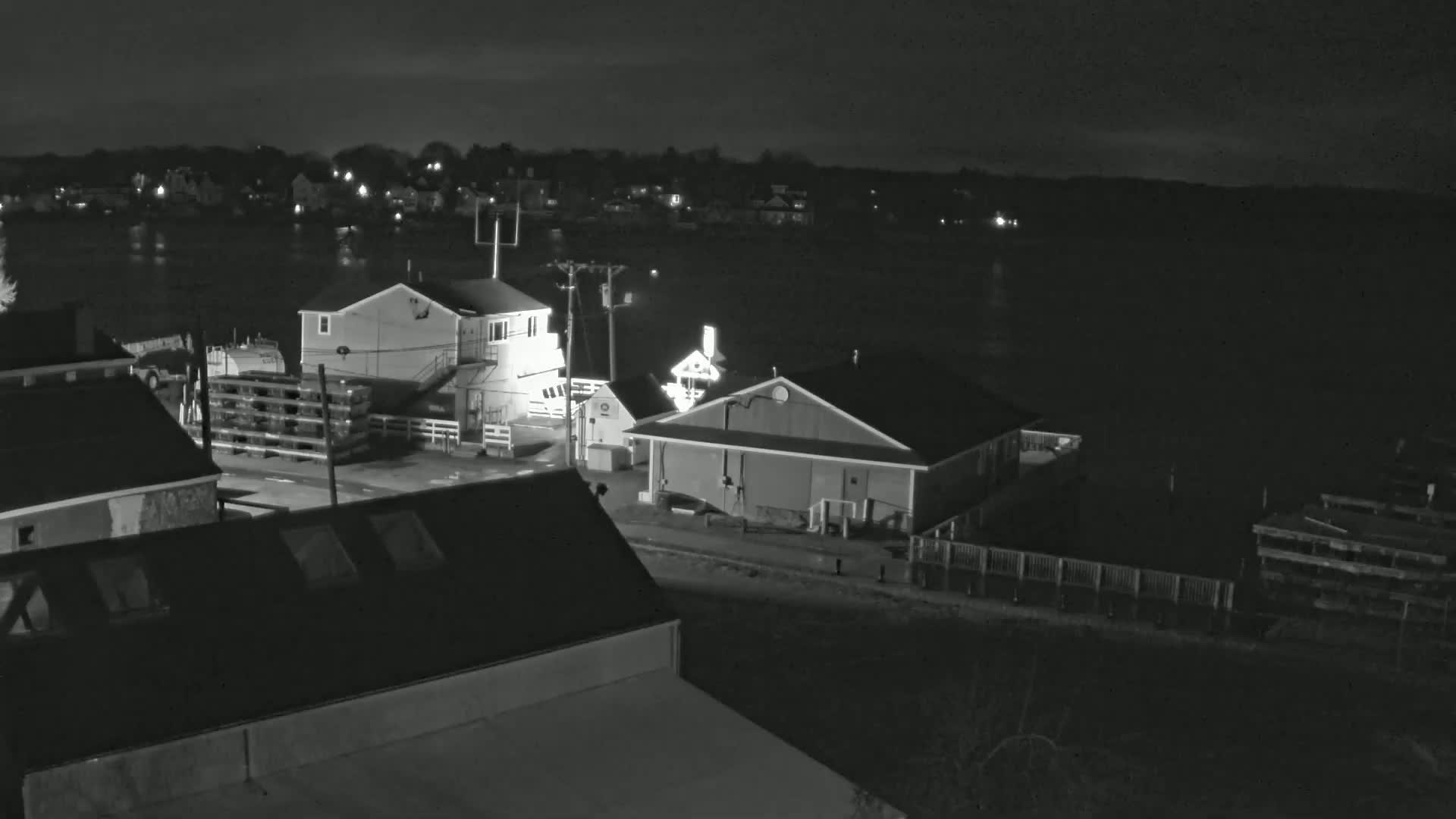 A nighttime, black and white view of a waterfront area shows several buildings near a calm body of water under a dark sky.