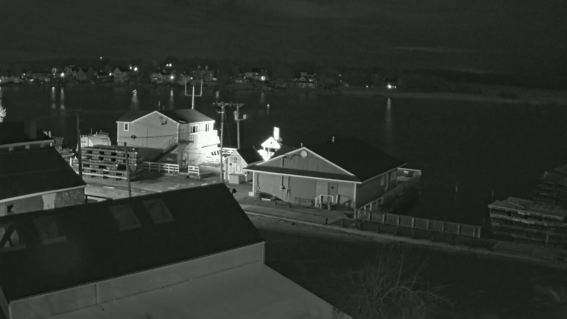 A nighttime, high-angle, black and white view of a waterfront area with several buildings illuminated, calm water reflecting light, and a few boats visible.