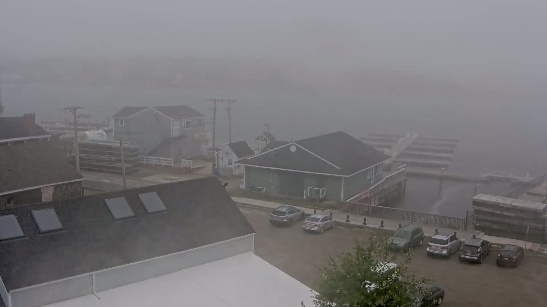 A thick fog obscures a waterfront scene of houses, a marina, and parked cars.