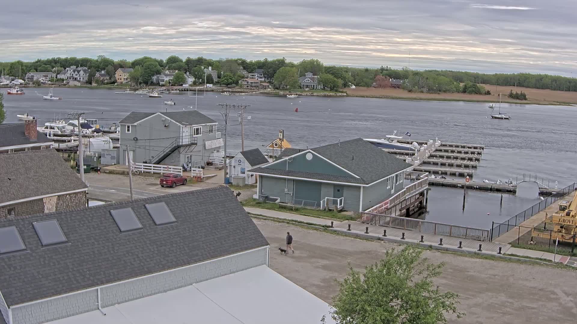 An overcast day reveals a waterfront scene with several buildings, boats docked at a marina, and a person walking a dog along a paved path.