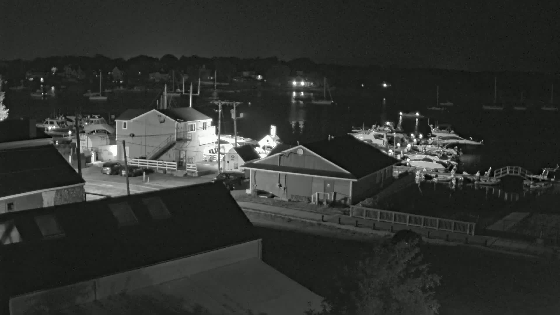 A nighttime, black-and-white view of a waterfront area with several buildings, cars, and numerous boats docked at a marina under a clear sky.