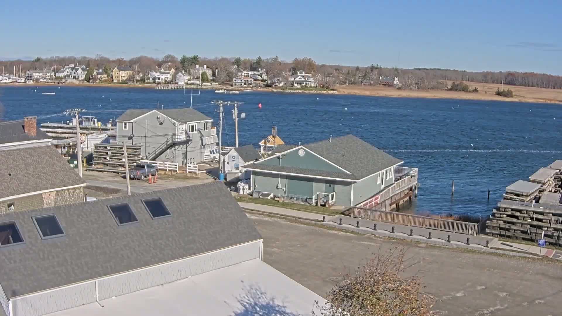 A nighttime, black-and-white view of a waterfront area with several buildings, cars, and numerous boats docked at a marina under a clear sky.