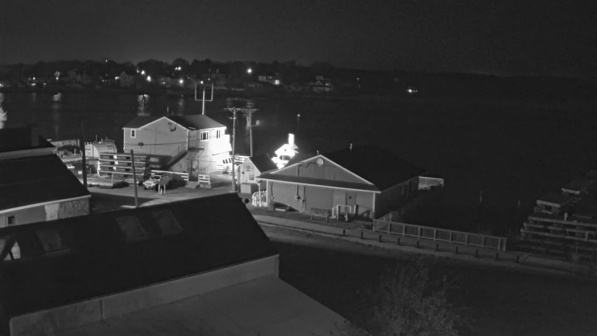 A grayscale image captures a clear night view of a waterfront village, featuring several illuminated buildings lining the shore with distant lights reflecting on the calm water.