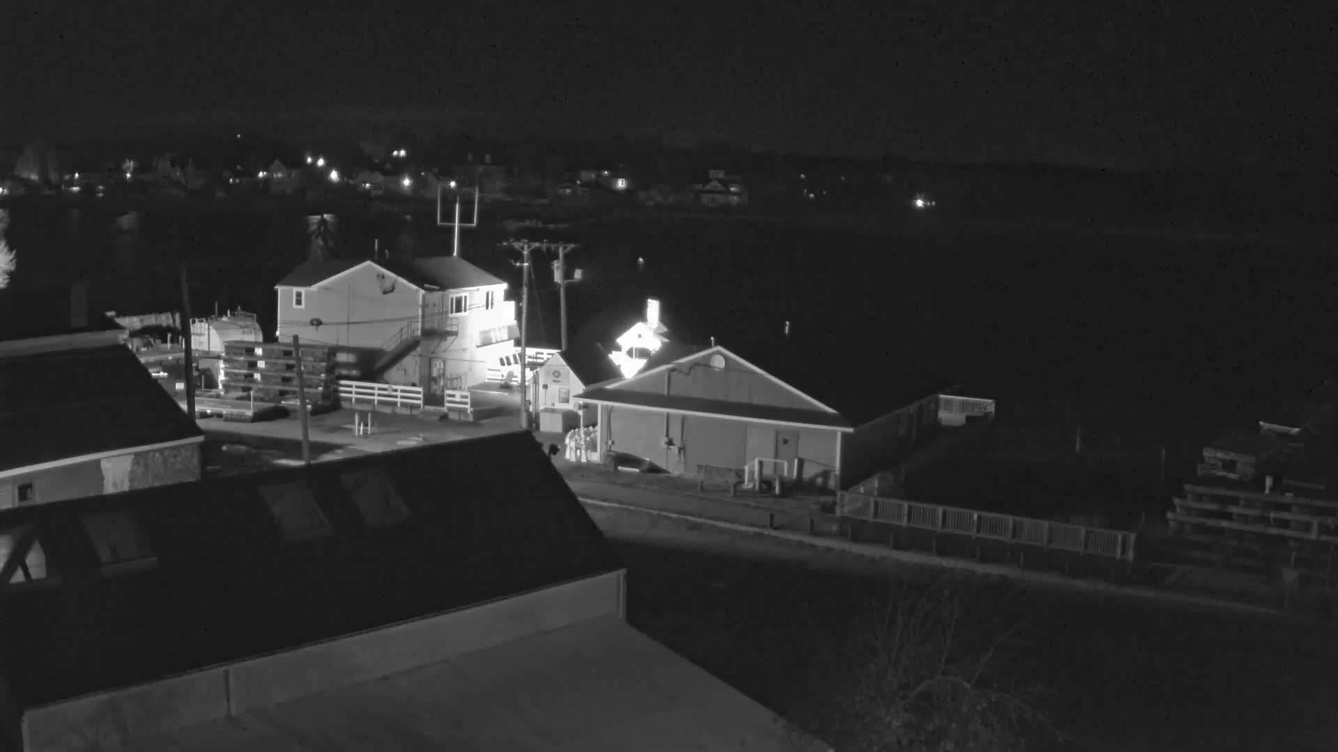 A grayscale night view depicts a waterfront town with several illuminated buildings, utility poles, and distant lights visible across a body of water, all under clear skies.