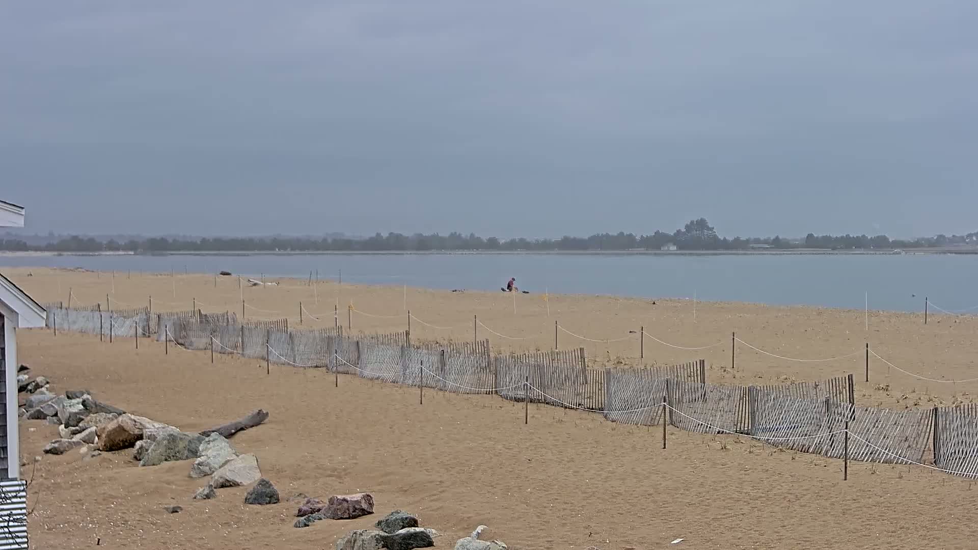 A sandy beach with a low wooden fence stretches along a calm body of water under an overcast sky, and a lone person sits on the sand.