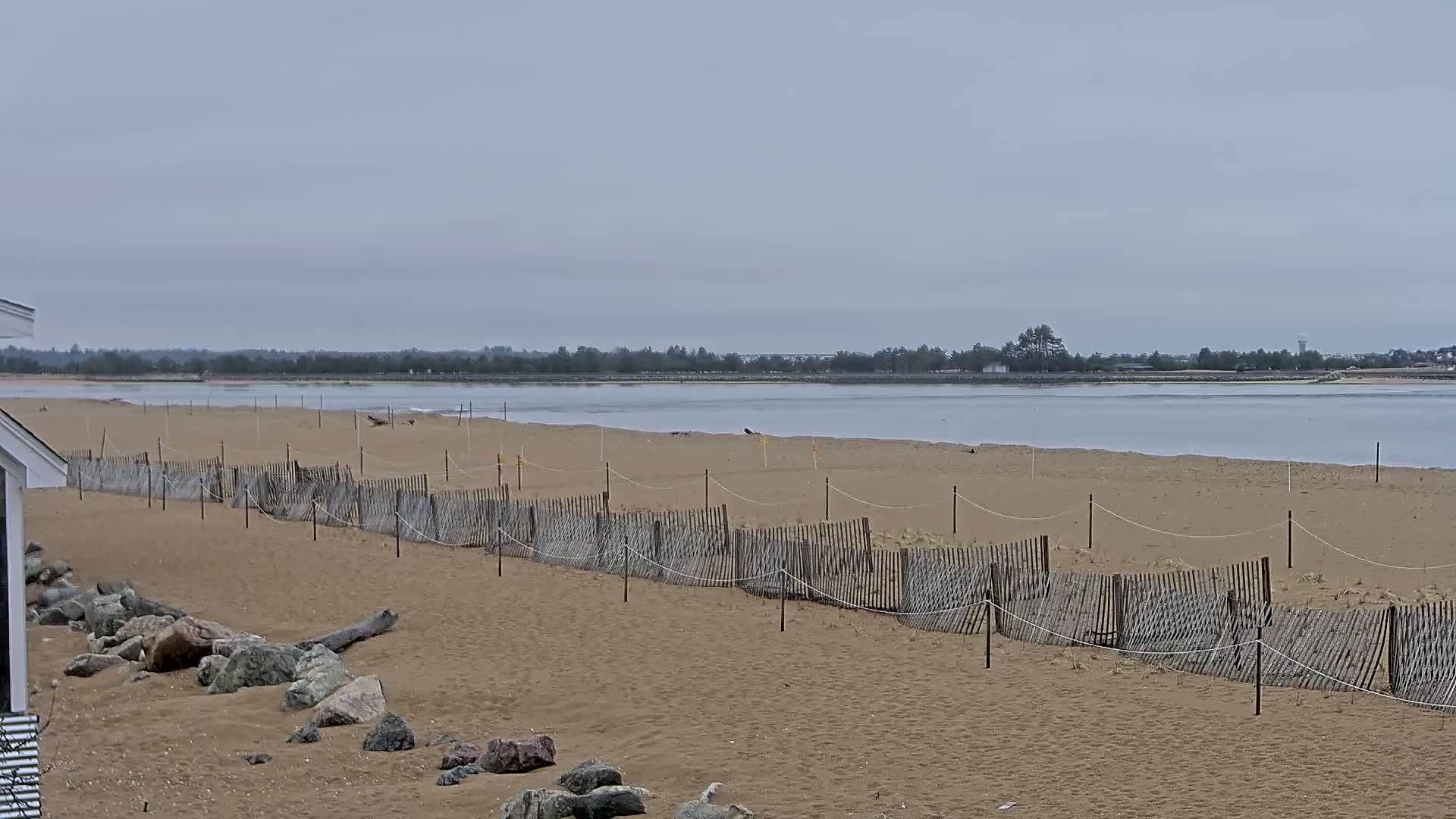 A sandy beach with a low wooden fence stretches towards a calm body of water under an overcast sky.
