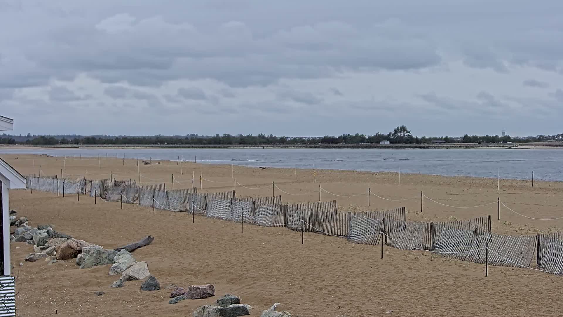 A sandy beach with a low wooden fence stretches along a calm, grey-clouded day.