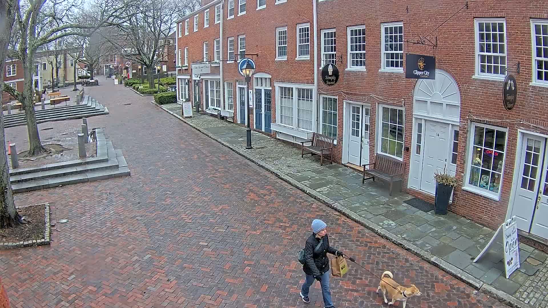 A person walks a small dog down a brick-paved street lined with brick buildings on an overcast day.