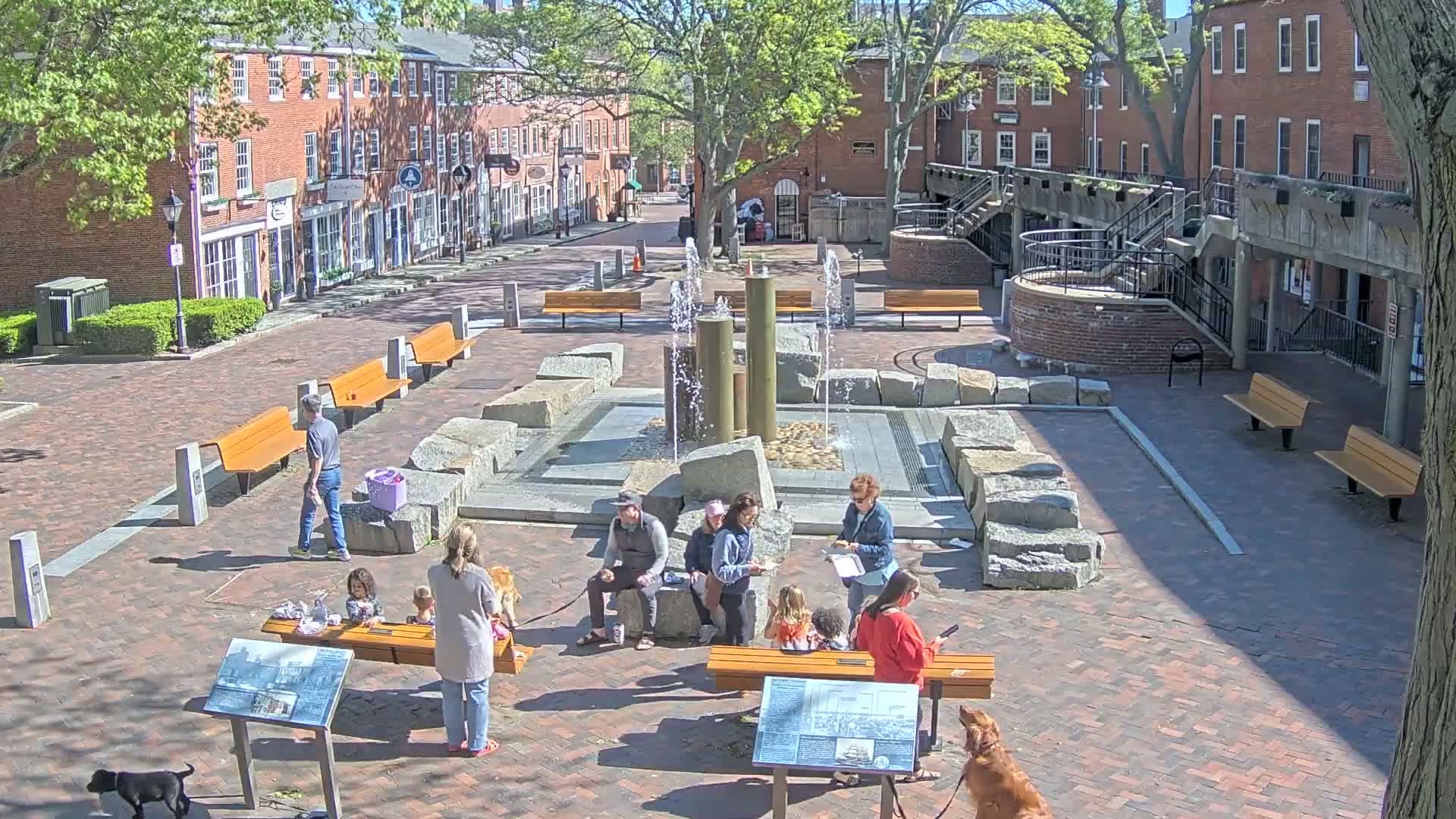 A brick plaza with a stone fountain in the center, surrounded by benches and people sitting and standing, with several dogs present on a sunny day.