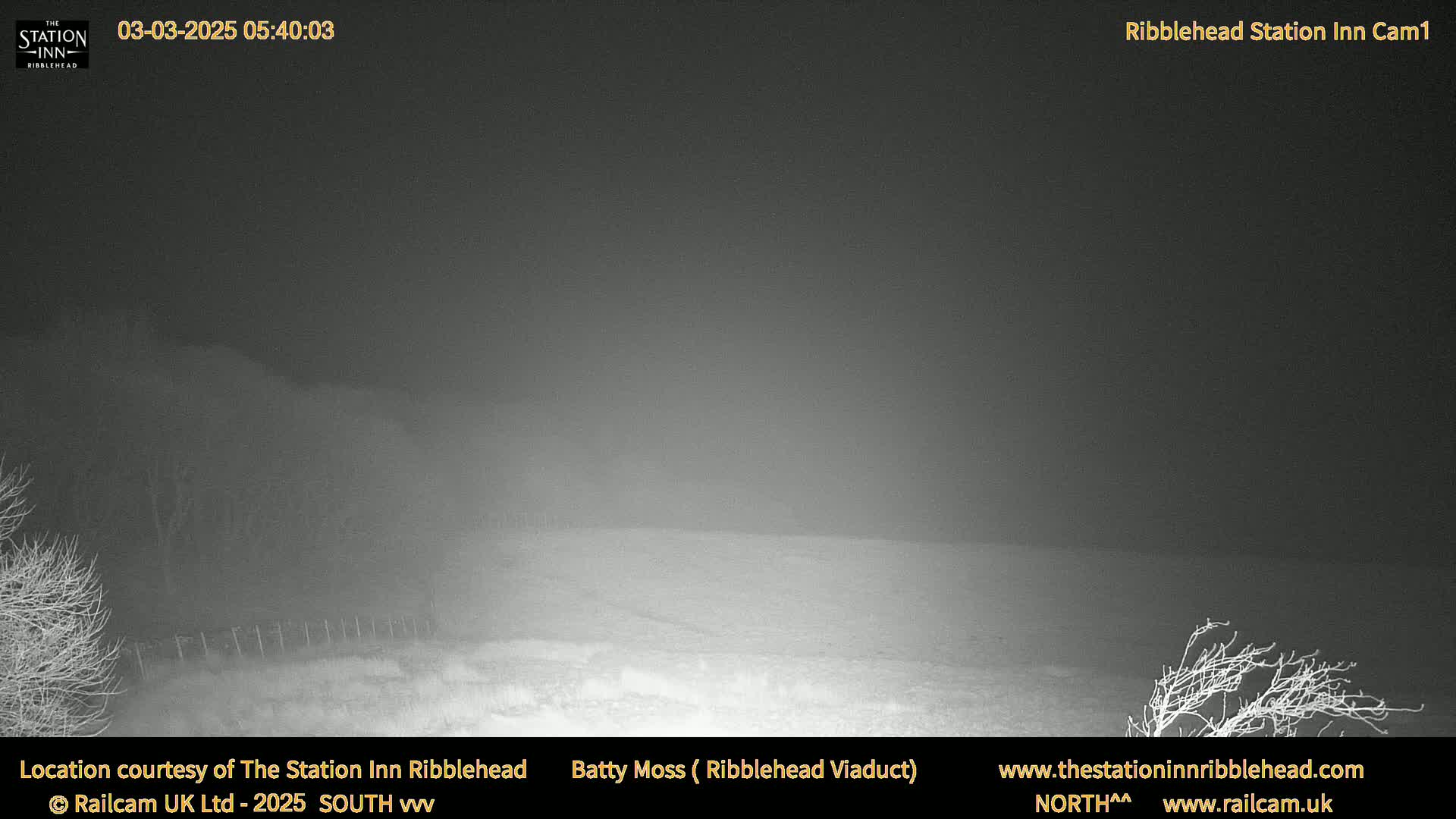A nighttime, foggy view of a flat, snow-covered landscape with bare, windswept trees in the foreground.