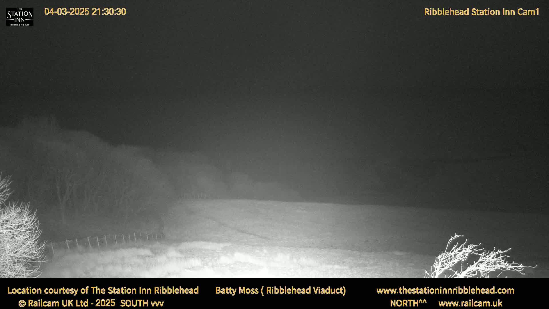 A nighttime, low-light view of a flat, snow-covered field with dark trees and shrubs in the background.