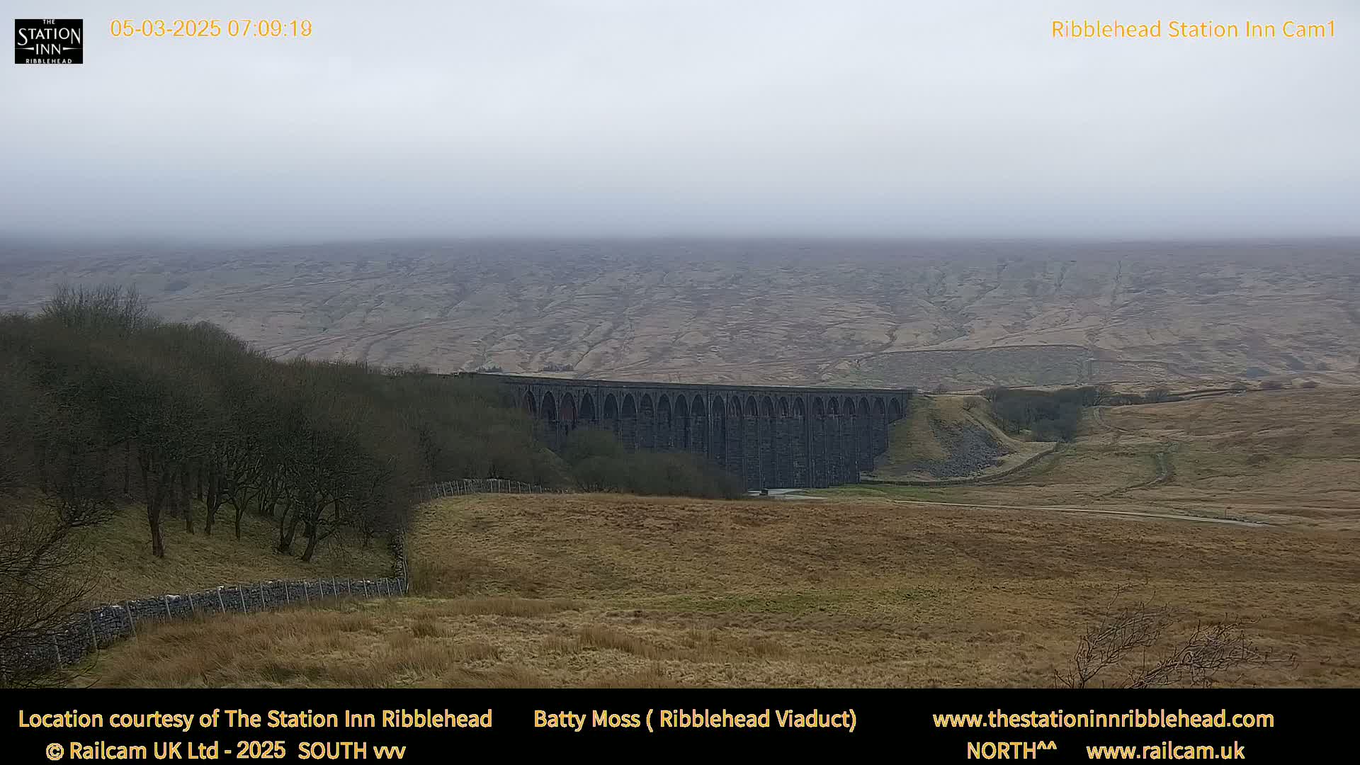 A large stone viaduct is visible in the middle ground, with a foggy, hilly landscape stretching into the distance under an overcast sky.