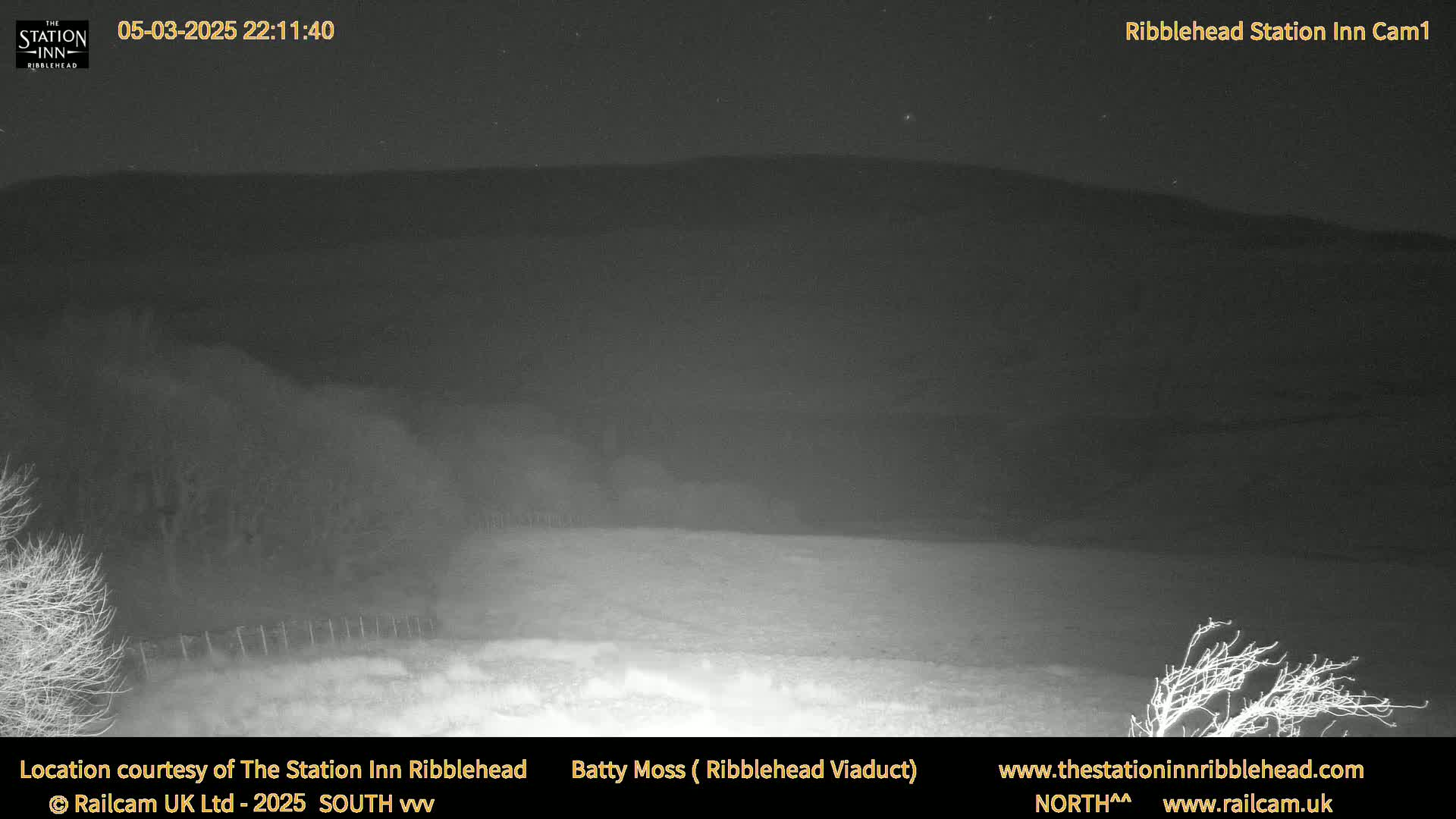 A nighttime, low-light view of a snow-covered field with a dark hill in the background under a clear, starry sky.