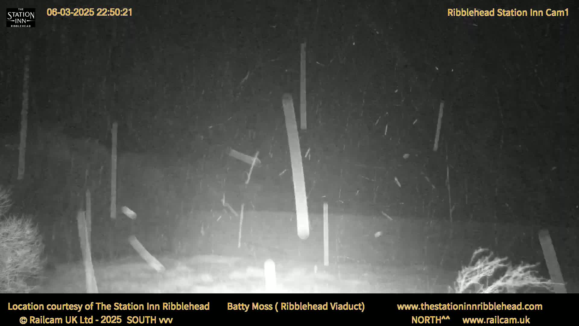 A nighttime, snowy scene shows tall, thin, vertical objects against a dark background.