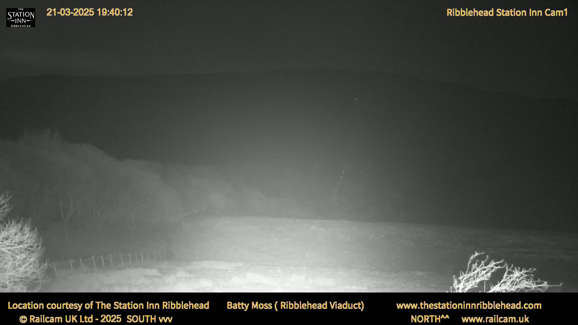 A nighttime, low-visibility view of a flat, snow-covered landscape with sparse, leafless trees and a fence in the foreground.