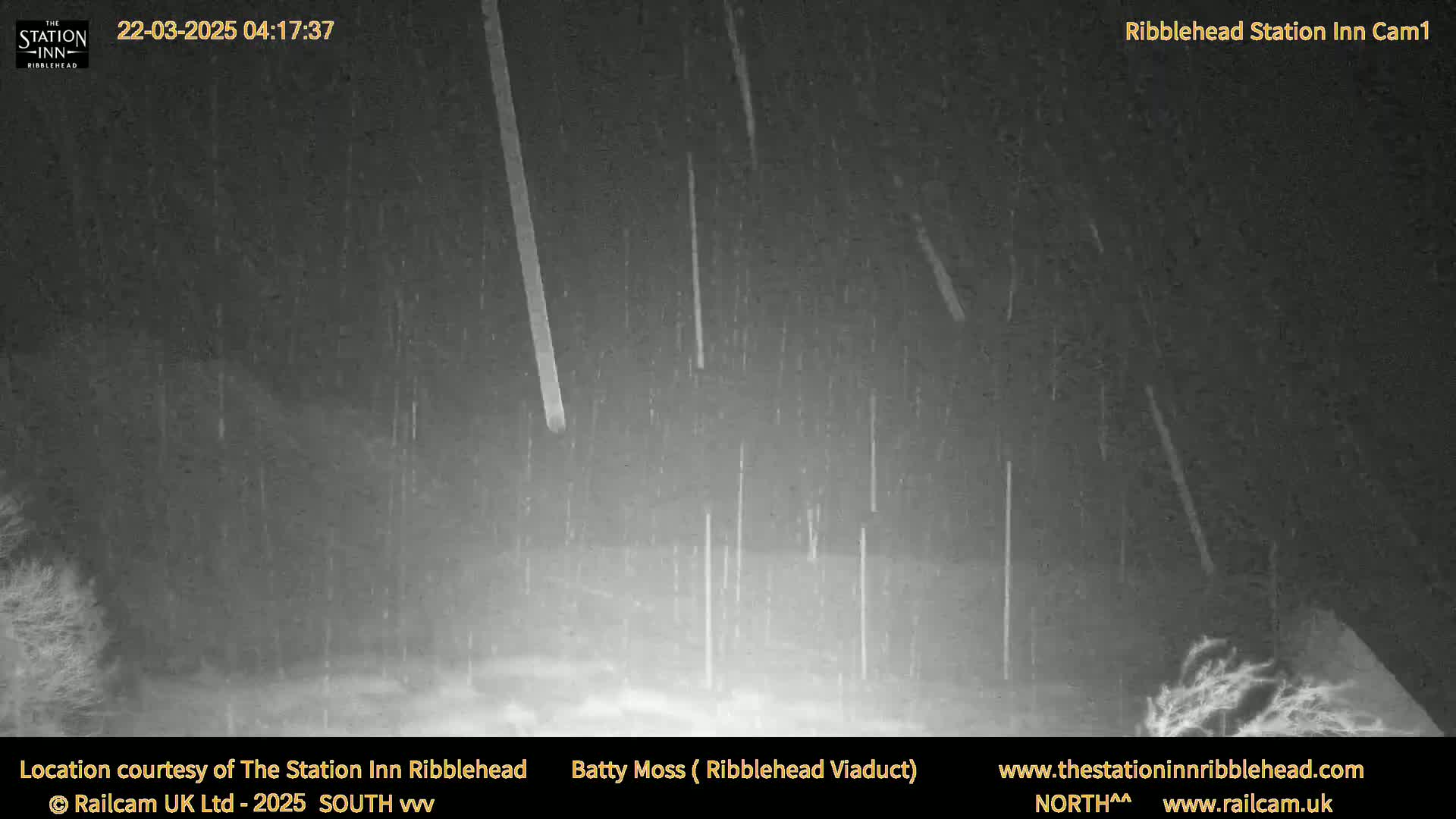 A nighttime, snowy scene shows heavy snowfall falling vertically in front of dark trees and structures.