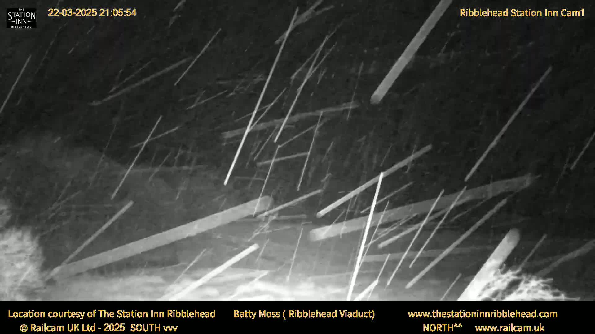 A nighttime, outdoor scene shows heavy snowfall with many streaks of falling snow visible against a dark background.