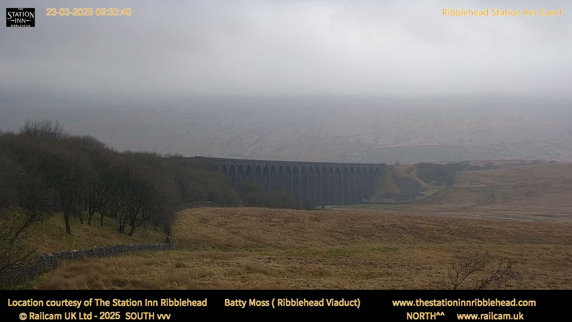 A long stone viaduct is visible in the distance across a hazy, flat landscape under a gray sky.