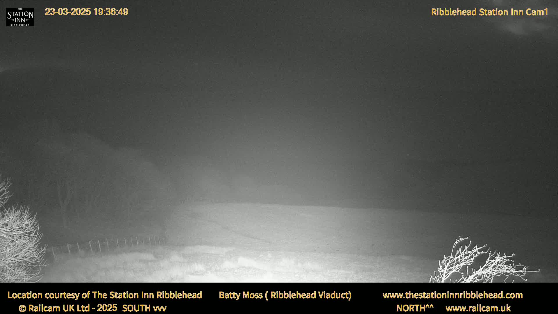 A nighttime, low-visibility view of a flat, snow-covered field with bare trees in the foreground and background.