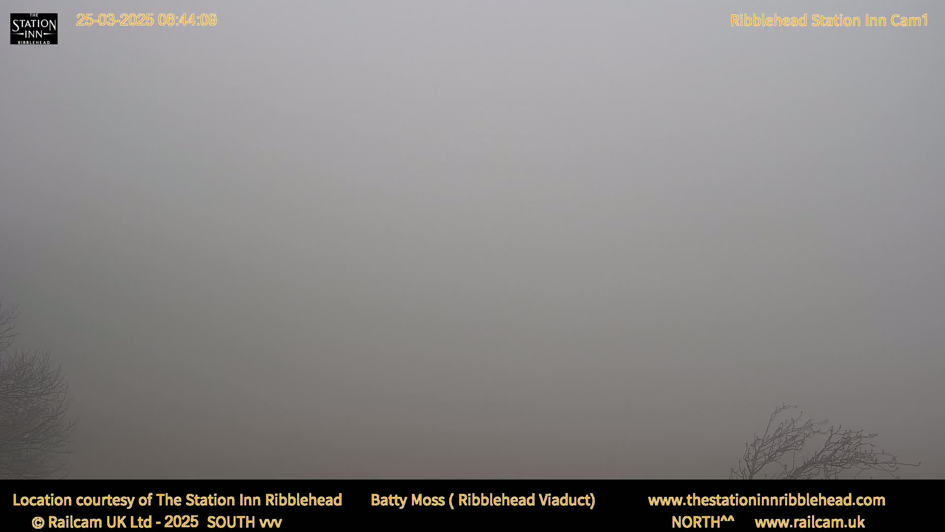 A thick fog obscures the view of a mostly barren landscape with a few leafless trees visible in the lower right corner.