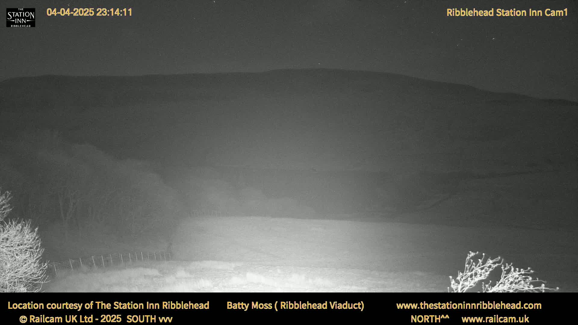 A nighttime, low-light view of a snow-covered field leading to a dark hill under a clear sky.